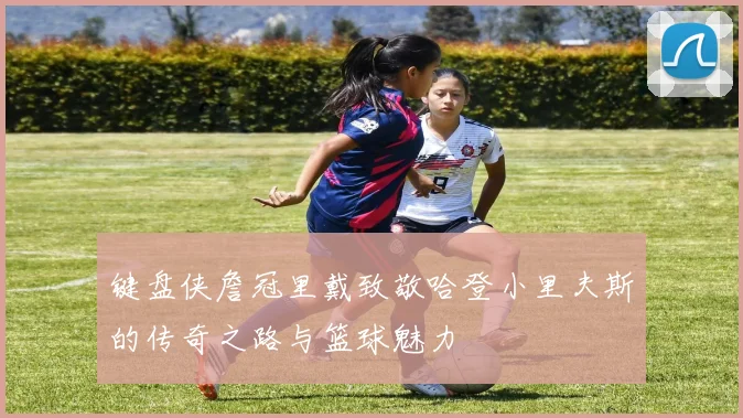键盘侠詹冠里戴致敬哈登小里夫斯的传奇之路与篮球魅力
