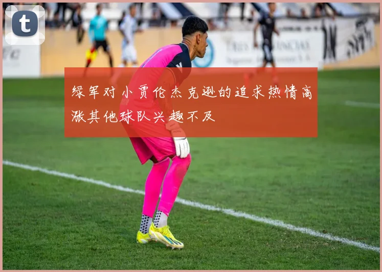 绿军对小贾伦杰克逊的追求热情高涨其他球队兴趣不及