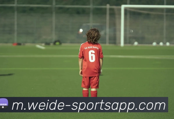 App Interface Preview