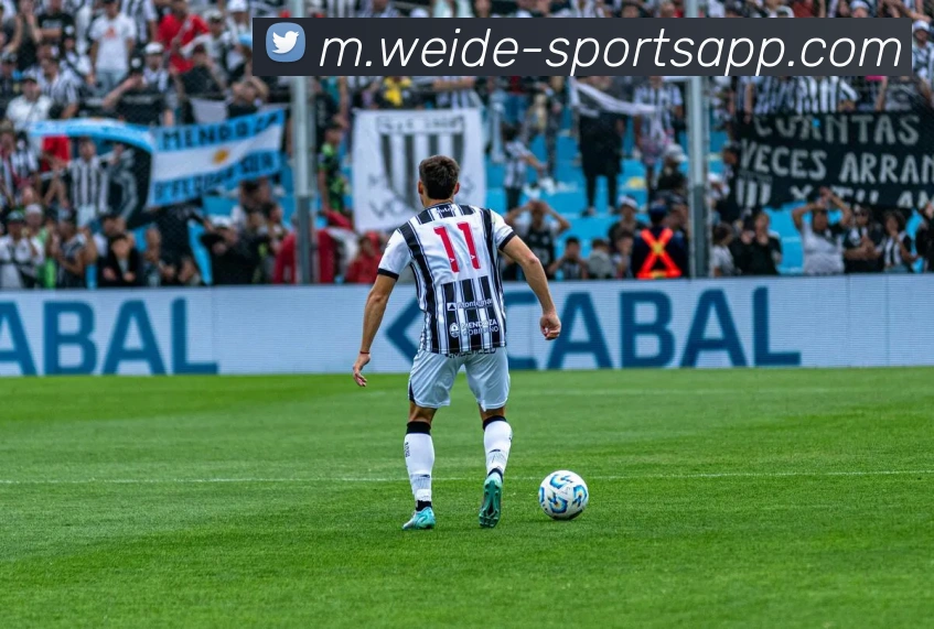 伟德体育APP 封面图